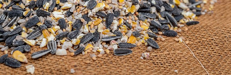 Welke ingrediënten bevatten zadenmixen?