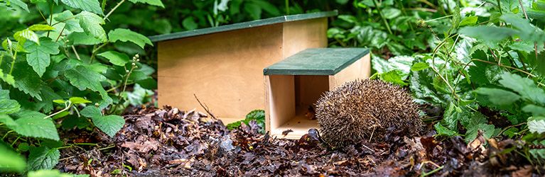 Waar plaats je een egelhuis?