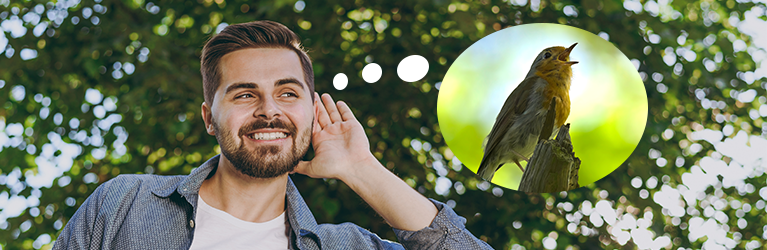 How to identify a bird by its song