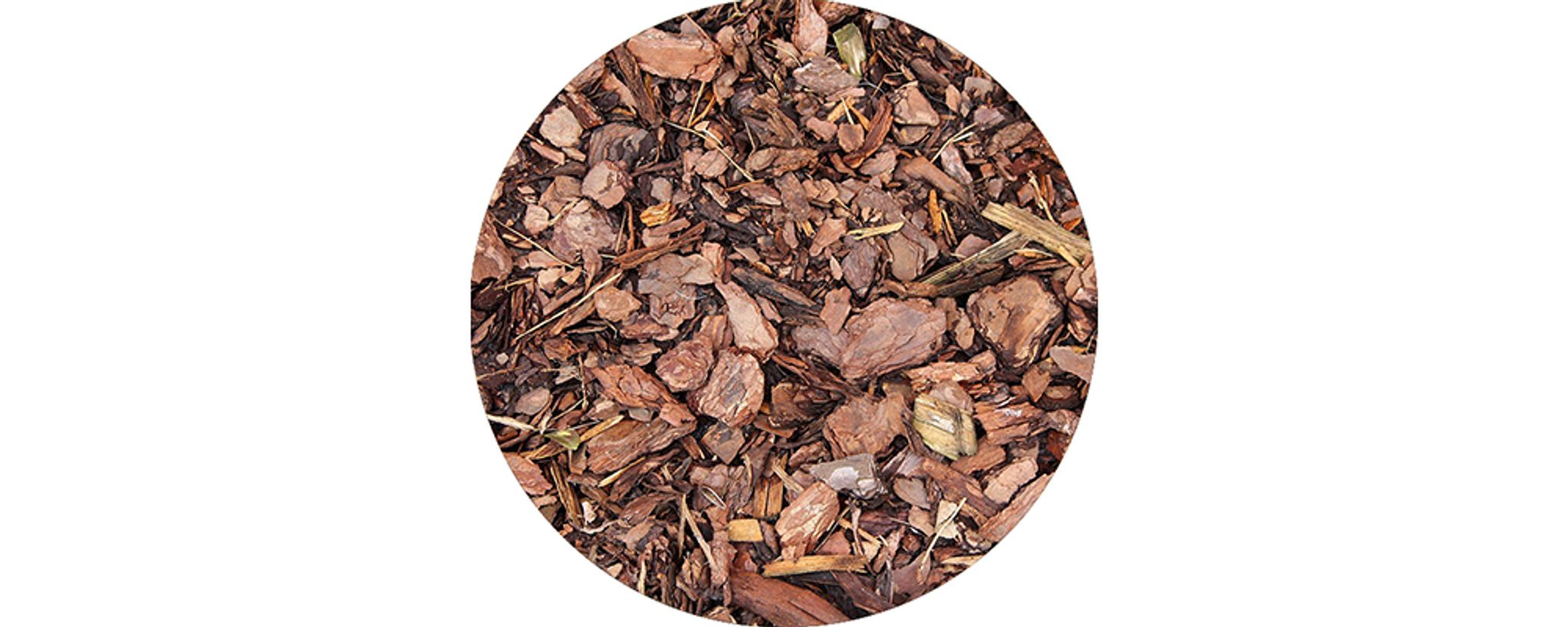 Dried tree bark on the ground.