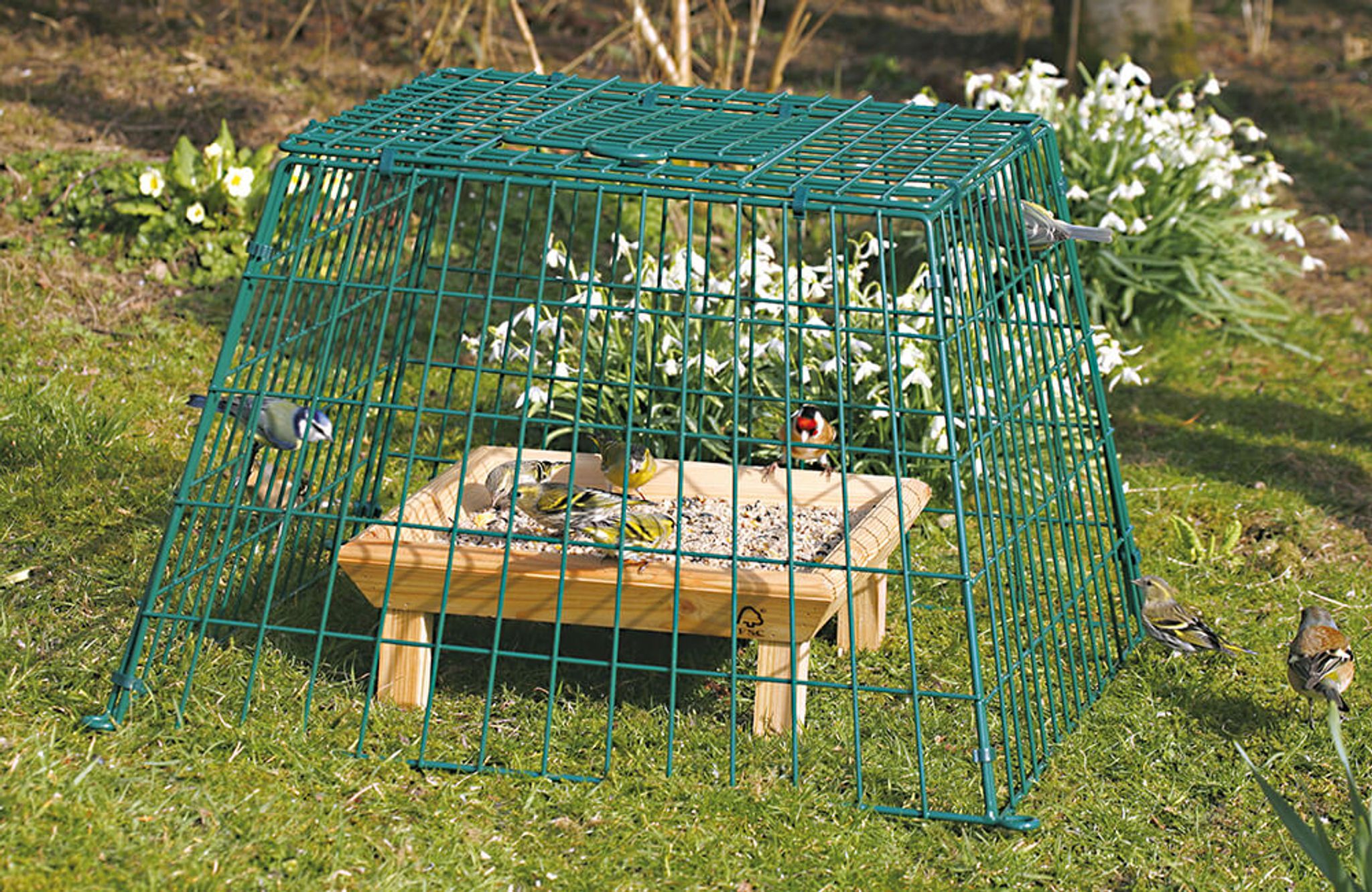 Ein Schutzkäfig, der um einen Vogelfuttertisch herum aufgestellt ist und in dem sich einige kleine Vögel befinden.