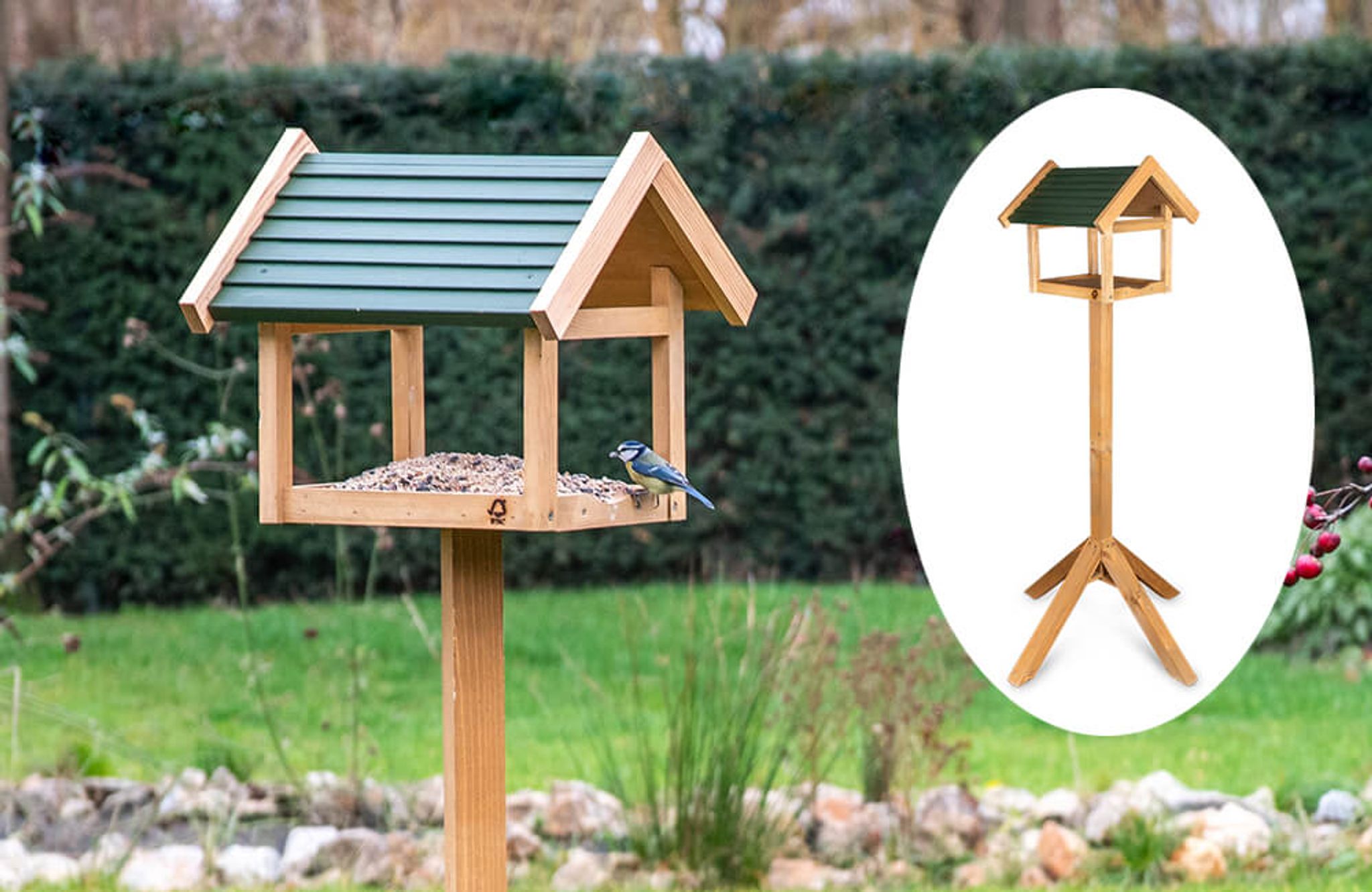 Eine Blaumeise besucht ein Vogelhaus mit Ständer.