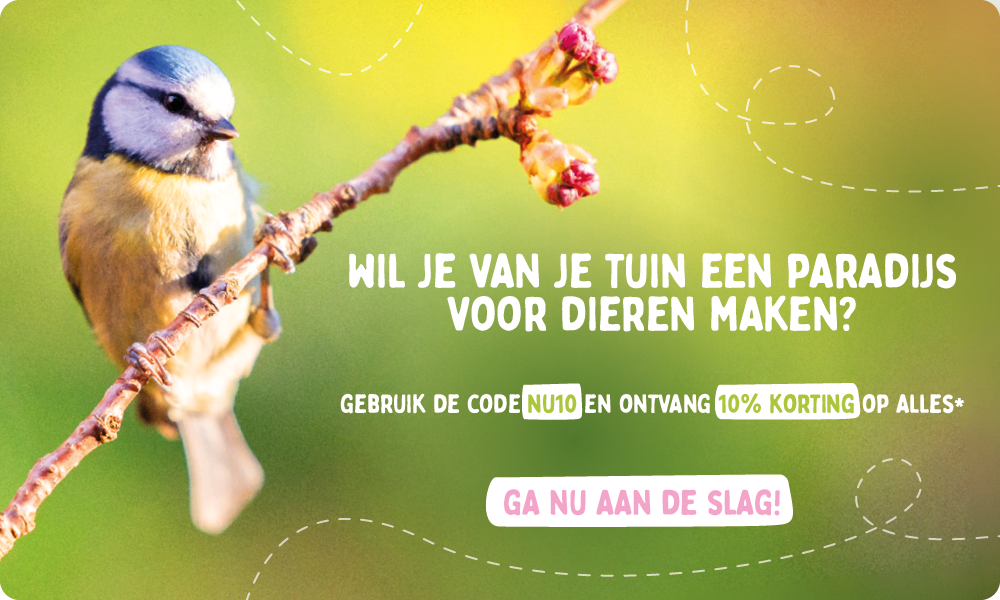 Landingpage_Social_NL_Landingpage_Mobile