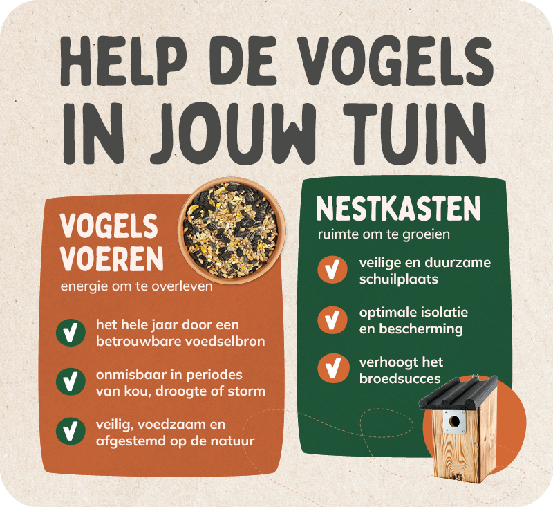 Banners_problem_x_solution3