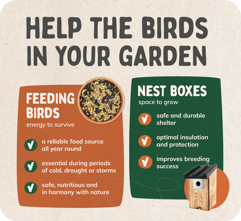 Banners_problem_x_solution4