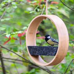 CD-1963_-_Website_photos_in_banner_format_1000x10004