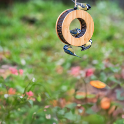 CD-1963_-_Website_photos_in_banner_format_1000x1000_3