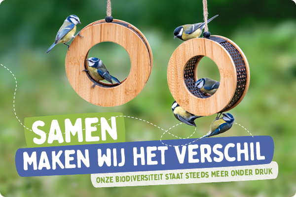 CD-2153_-_Banners_Testcampaign_mobile_NL_1