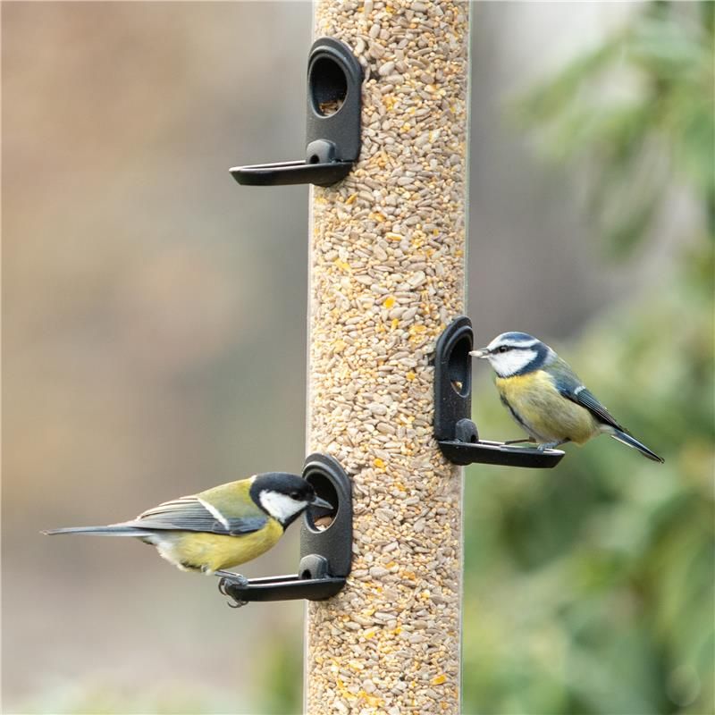 Hi-Engery_No_Mess_-_Apollo_1000x1000