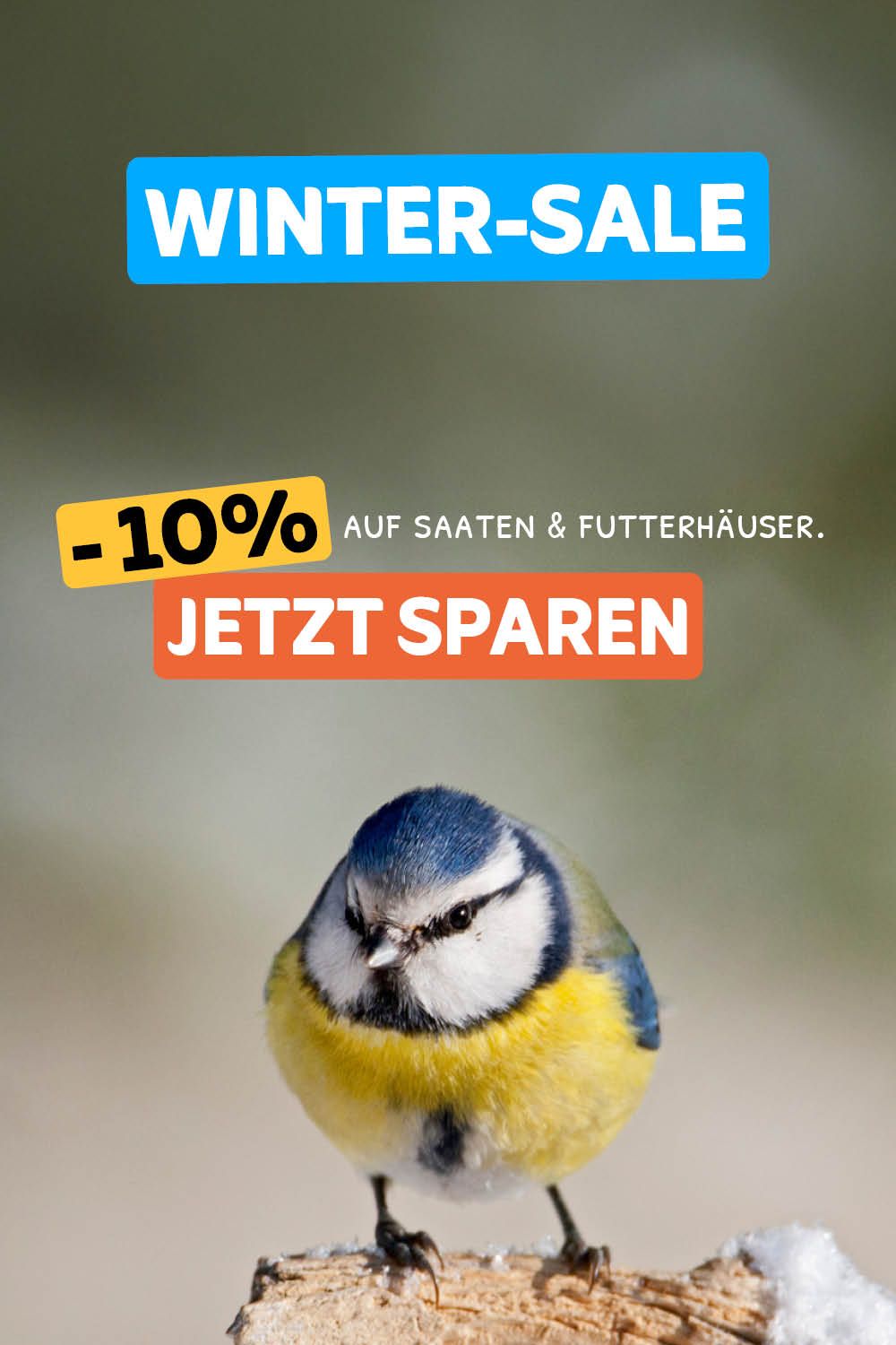 CD-2078_-_Bird_Count_Banners_DE_AT_Homepage_Mobile_V3_1