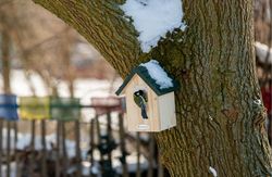 Hang_up_nest_boxes_1_