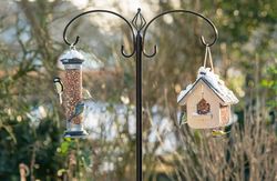 futterstelle_einrichten