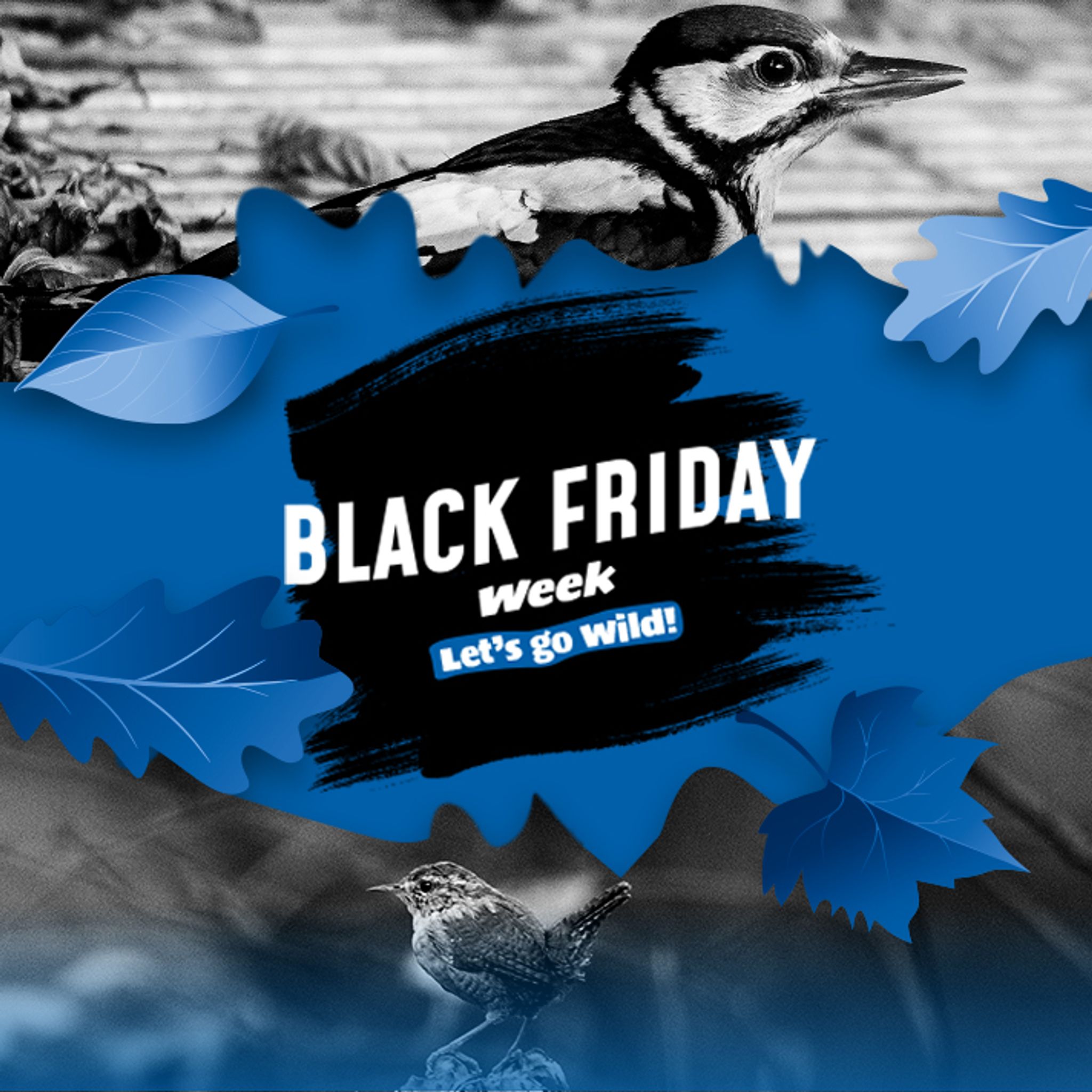 BF_main_header_mobile