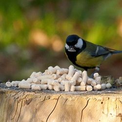 Food_slider_suet_pellets