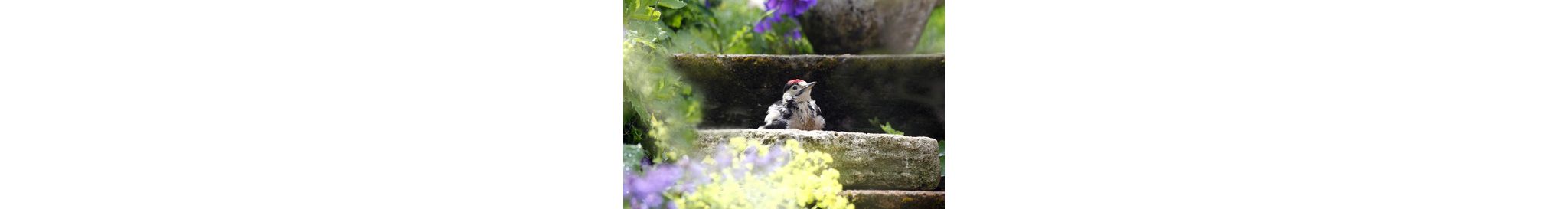 Kleines Insektenhotel auf Pfahl