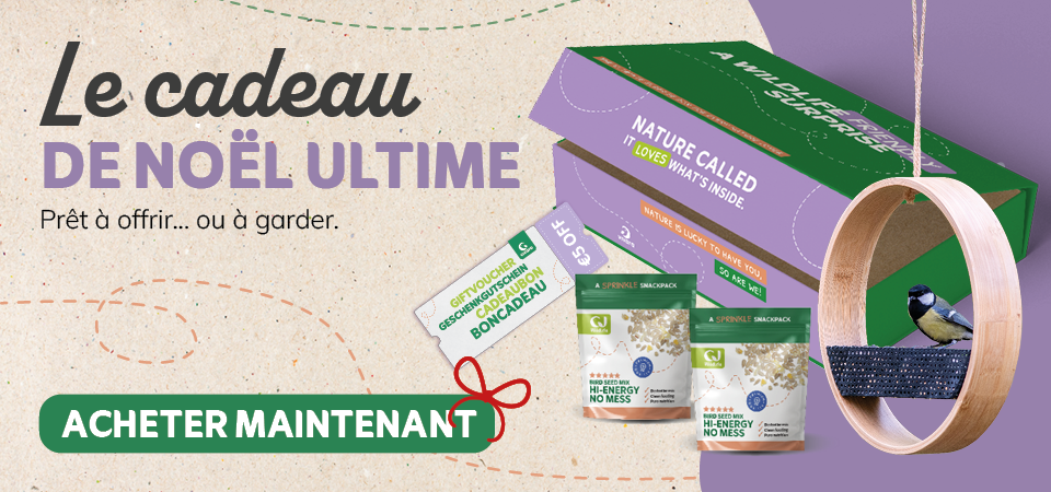 Giftboxbanner_Homepage_Desktop_FR_BE