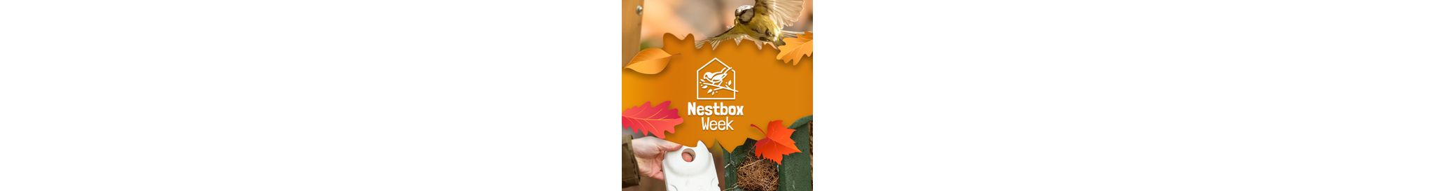 CJ_Nest_Box_Week_Mob