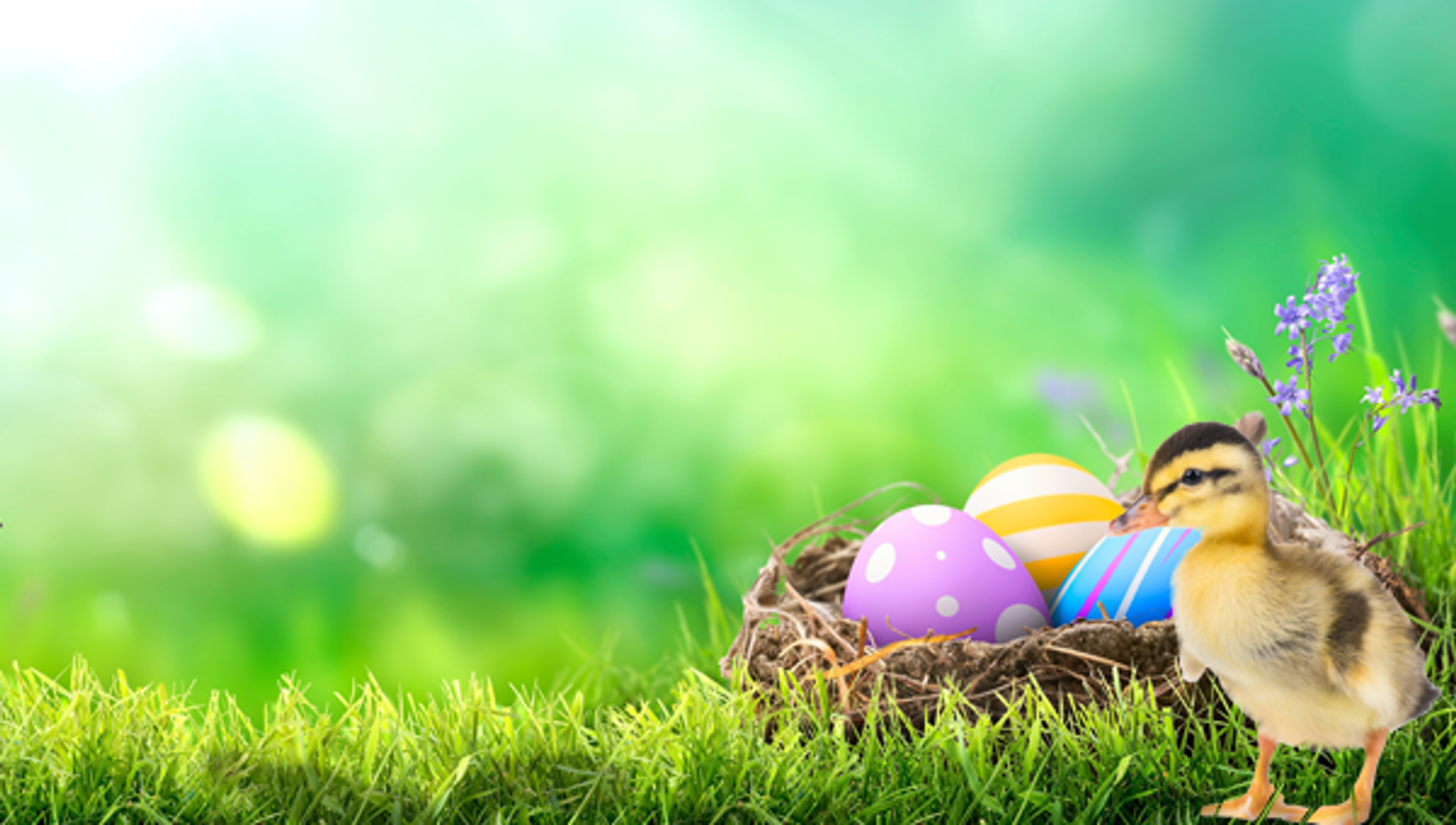 NEWSLETTER-MOB-600-X-340