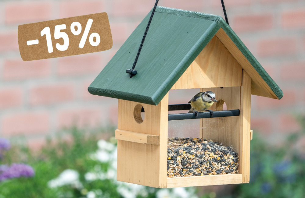 CD-2210_-_Pictures_with__2_15_