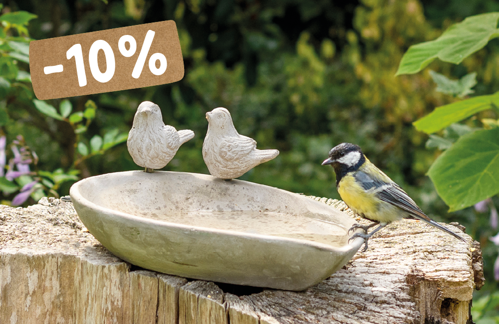 CD-2210_-_Pictures_with__4_10_