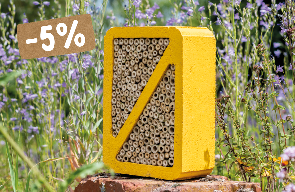 CD-2210_-_Pictures_with__5_5_