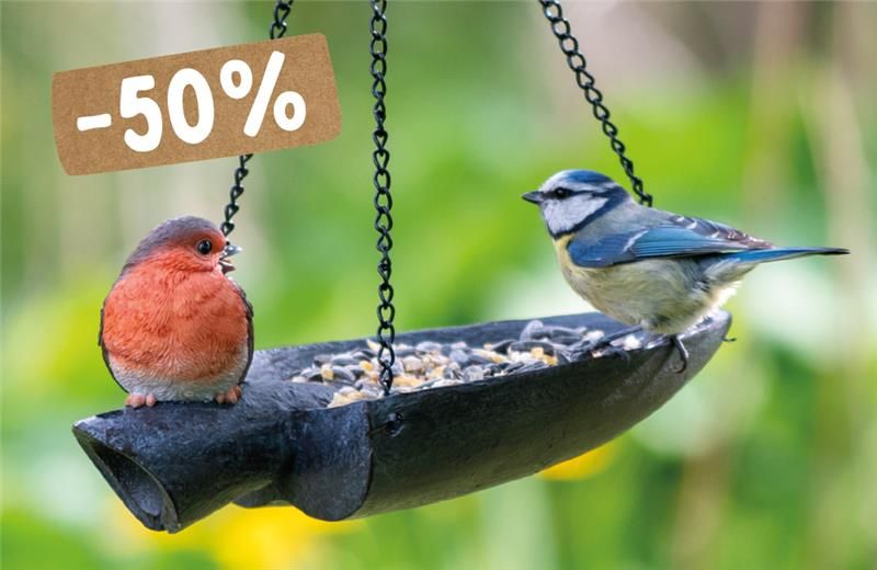 CD-2210_-_Pictures_with__6_50_