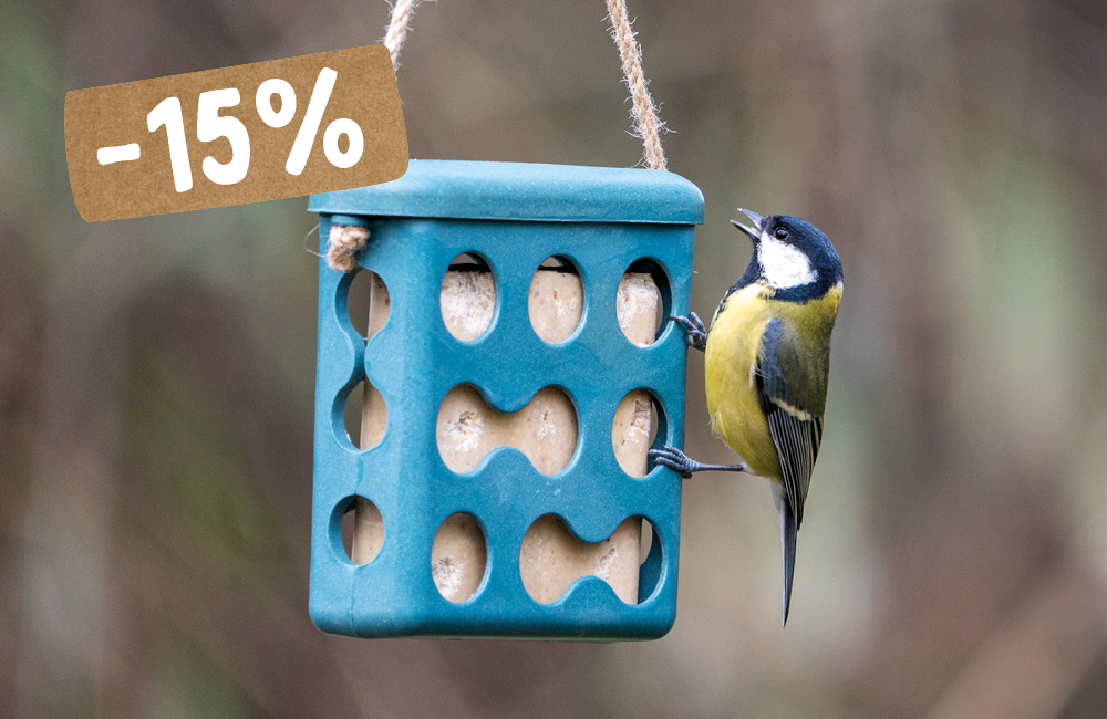 CD-2232_-_3_pictures_for_Landingpage_1