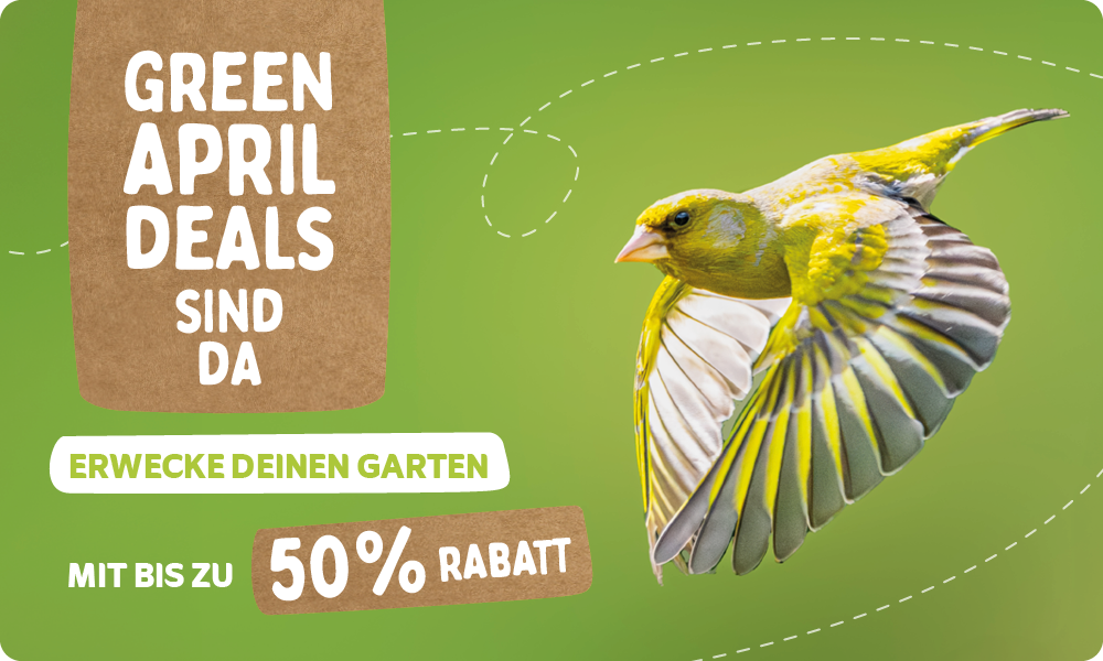CD-_2209_-_Green_April_Deal_-_Banner_DE_AT_Landingpage_Mobile