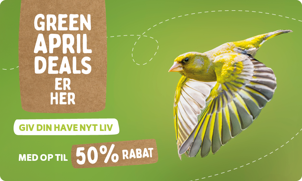 CD-_2209_-_Green_April_Deal_-_Banner_DK_Landingpage_Mobile