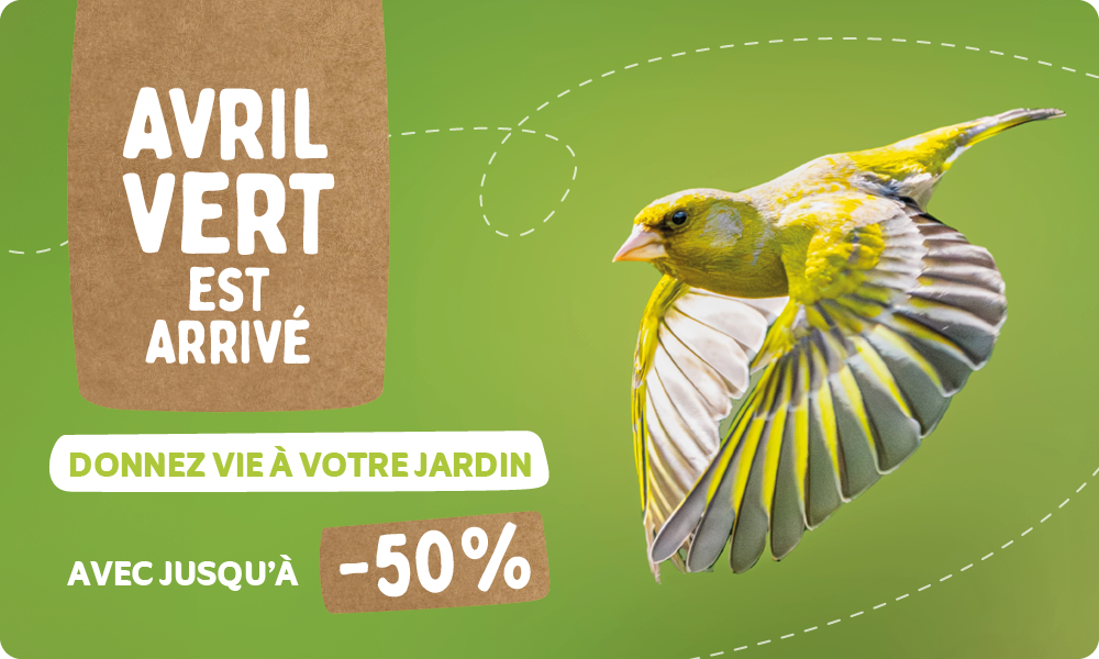 CD-_2209_-_Green_April_Deal_-_Banner_FR_BE_Landingpage_Mobile