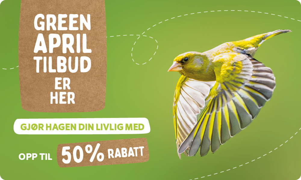 CD-_2209_-_Green_April_Deal_-_Banner_NO_Landingpage_Mobile