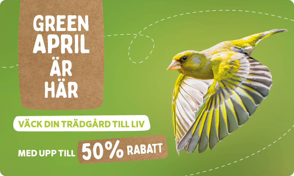 CD-_2209_-_Green_April_Deal_-_Banner_SE_Landingpage_Mobile