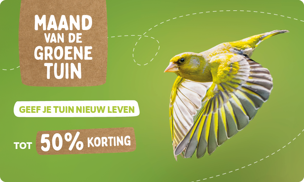 CD-_2209_-_Maand_van_de_groene_tuin_-_Banner_NL_BE_Landingpage_Mobile