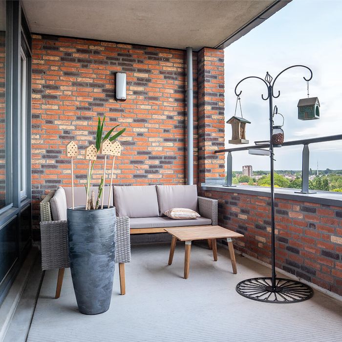 Bird feeding from a balcony