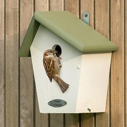 Nestbox_slider_sparrow