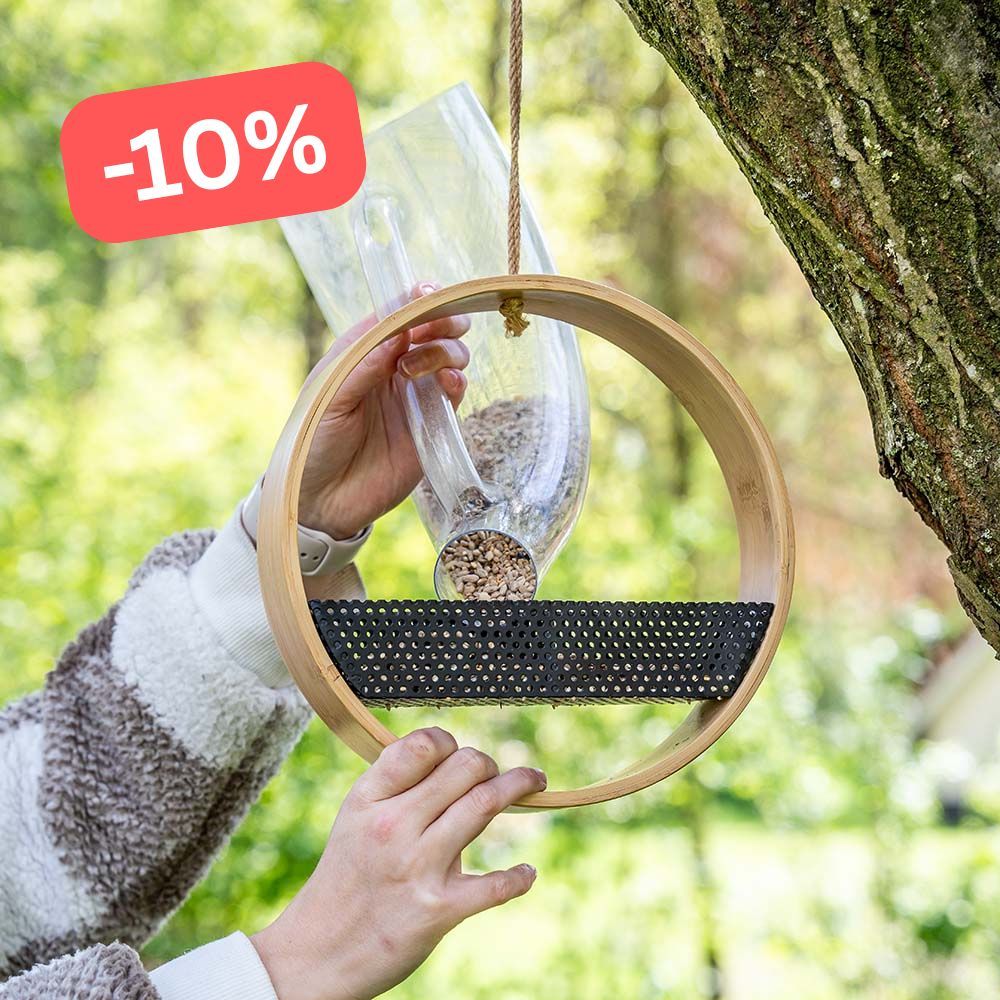 -10% - 1