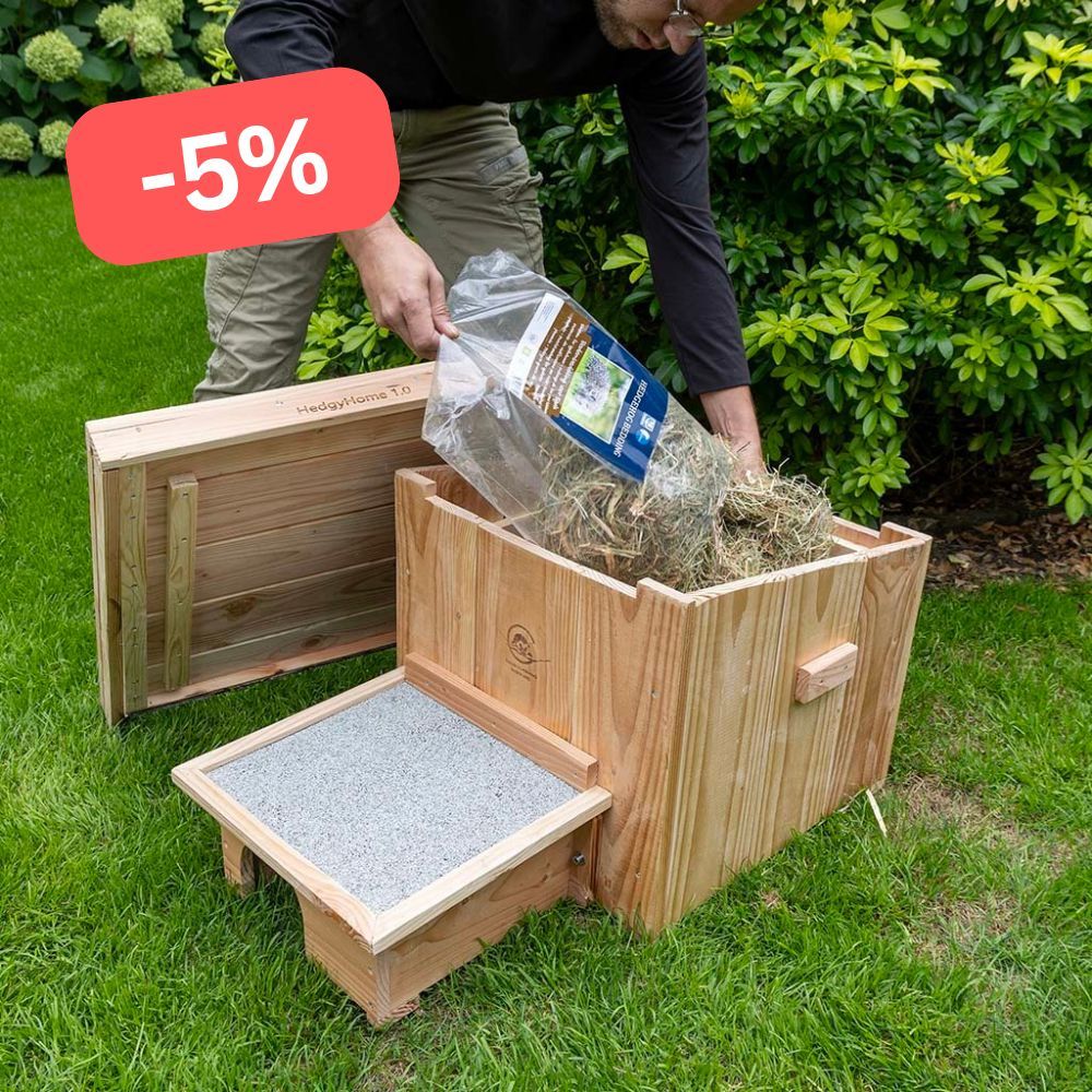 -10% - 1
