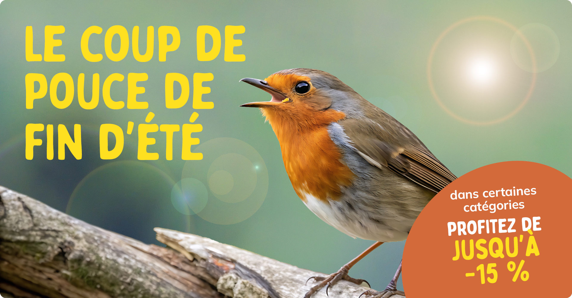 CD-2308_-_August_Main_Banner-Bird_FR_Landingpage_Mobile