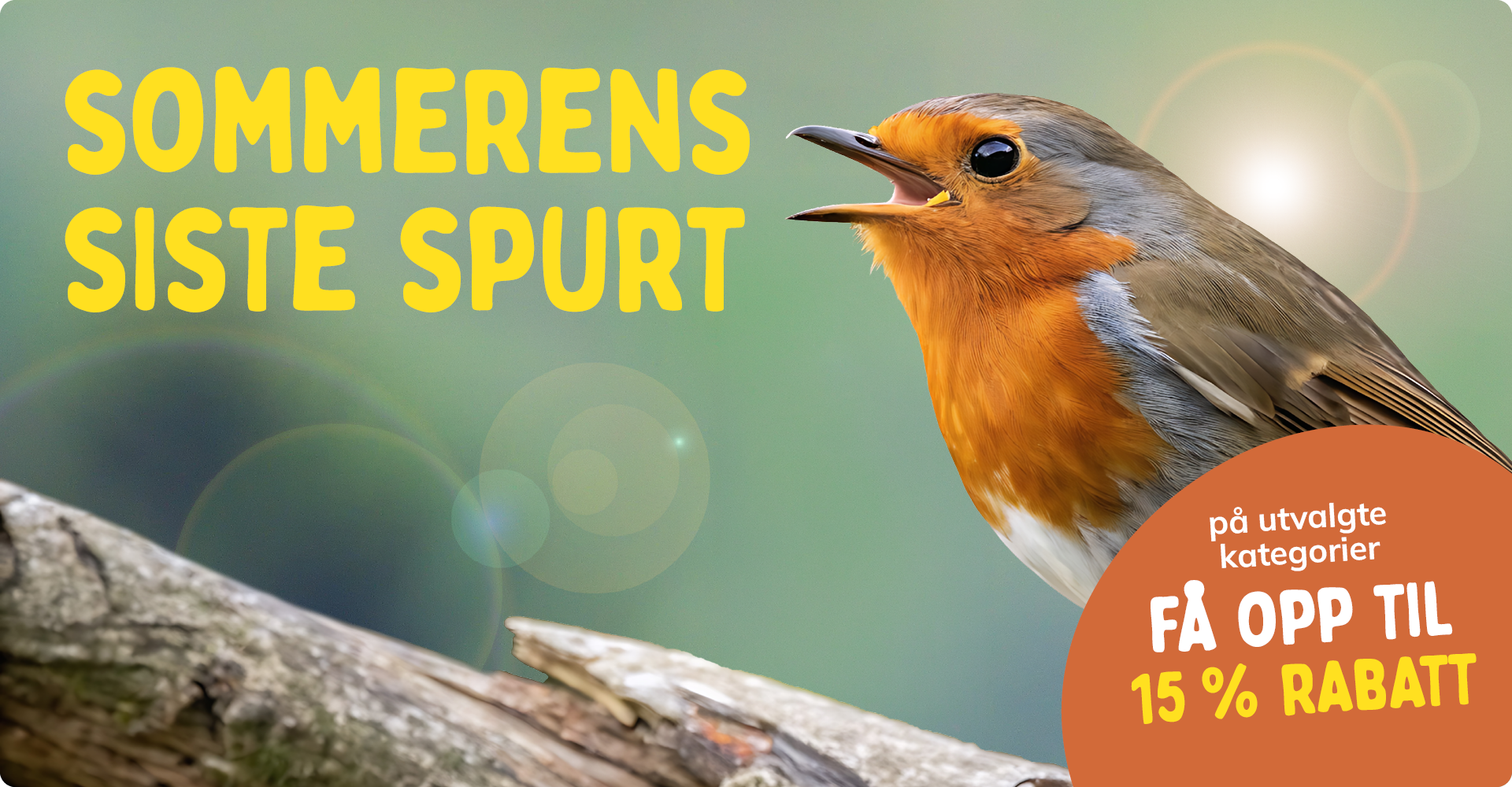 CD-2308_-_August_Main_Banner-Bird_NO_Landingpage_Mobile