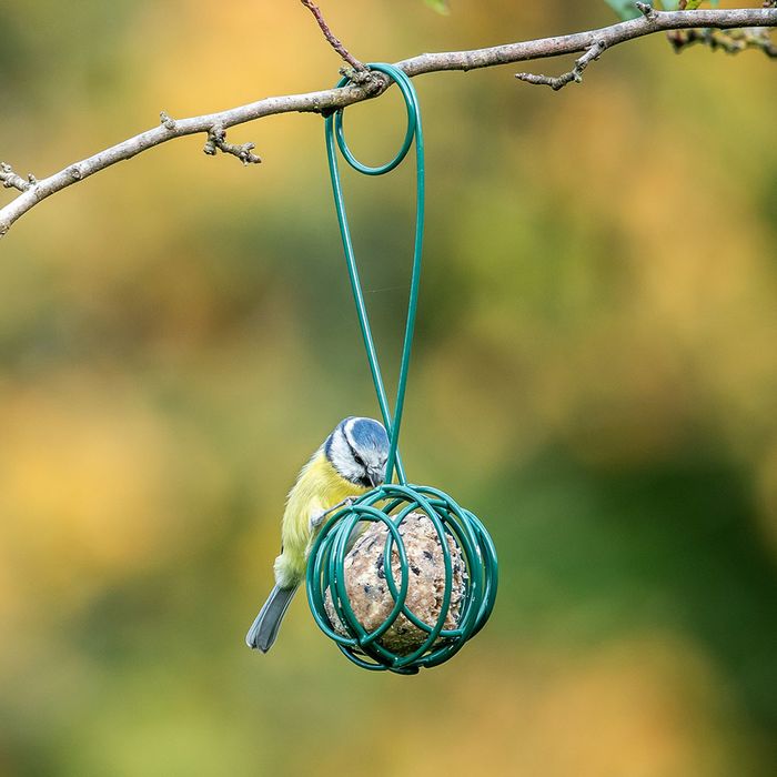 Lima fat ball feeder