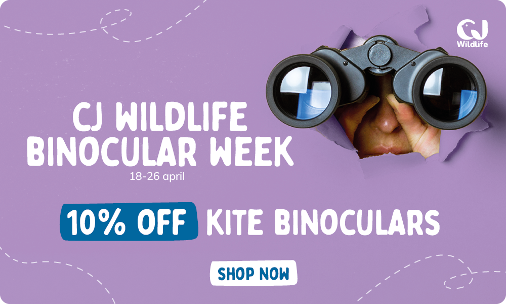 CD-2211_-_Nationale_kijkerweek_-_CJ_UK_Homepage_Mobile