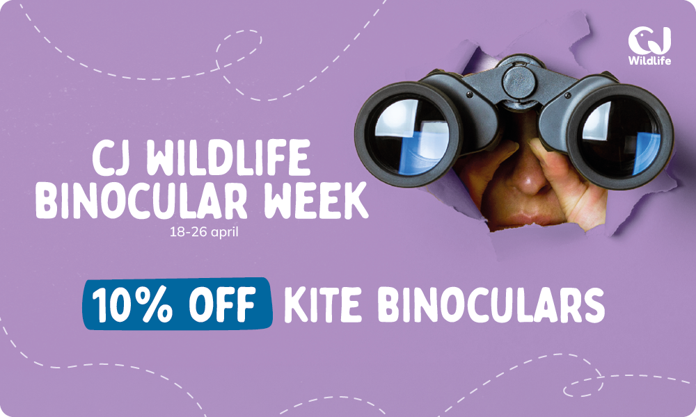 CD-2211_-_Nationale_kijkerweek_-_CJ_UK_Landingpage_Mobile