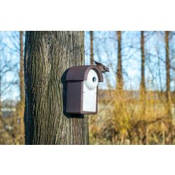 906160120-Woodstone-Starling_Nest_Box