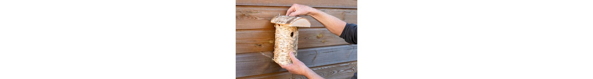 Birken-Nistkasten, der an einer Holzwand montiert wird.