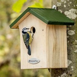 Blue_Tit_Nest_Box