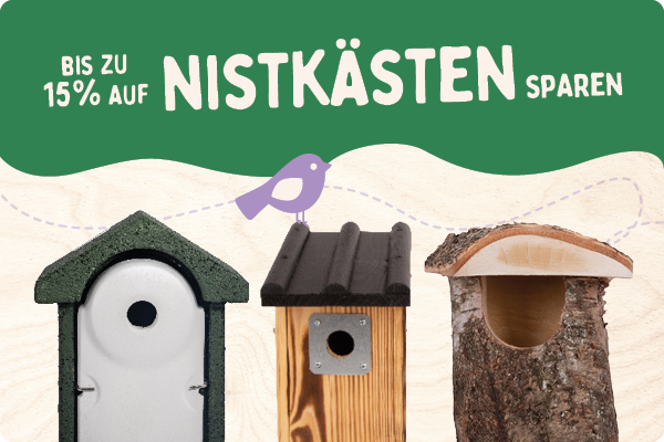 CD-2165_-_Nest_Box_Week_Banner_Sets_DE_AT_Landingpage_Mobile