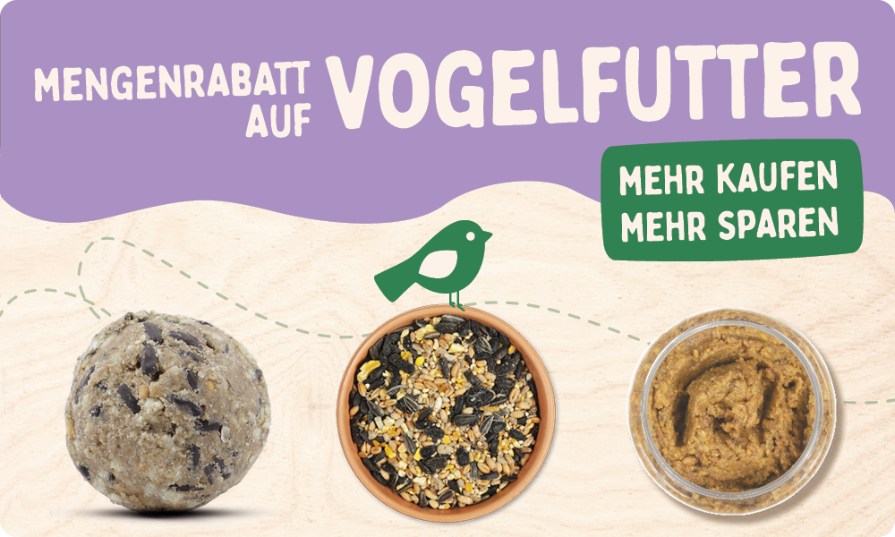 CD-2165_-_Nest_Box_Week_Banner_Sets_DE_AT_SHOP_NOW_REMOVED_Homepage_Mobile