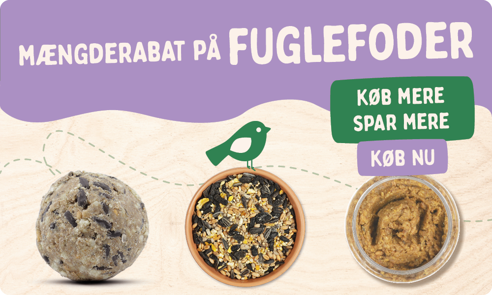 CD-2165_-_Nest_Box_Week_Banner_Sets_DK_Homepage_Mobile_12