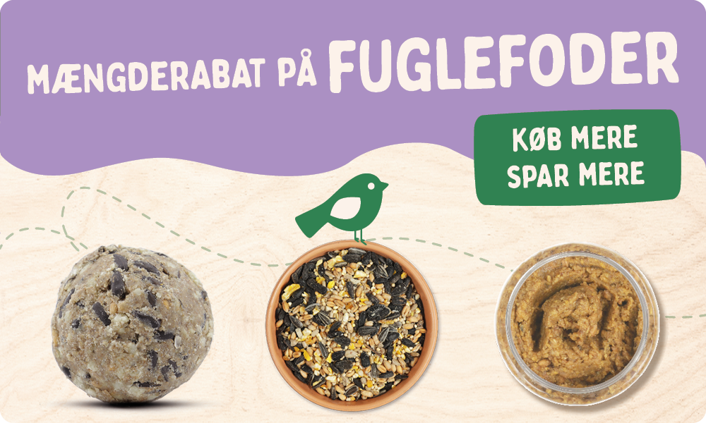 CD-2165_-_Nest_Box_Week_Banner_Sets_DK_SHOP_NOW_REMOVED_Homepage_Mobile