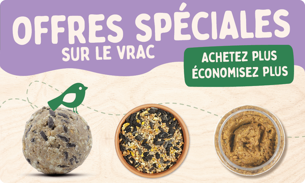 CD-2165_-_Nest_Box_Week_Banner_Sets_FR_BE_SHOP_NOW_REMOVED_Homepage_Mobile